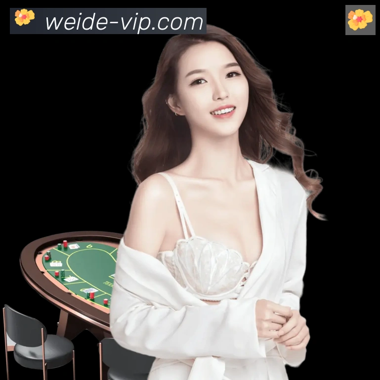 战术分析频道